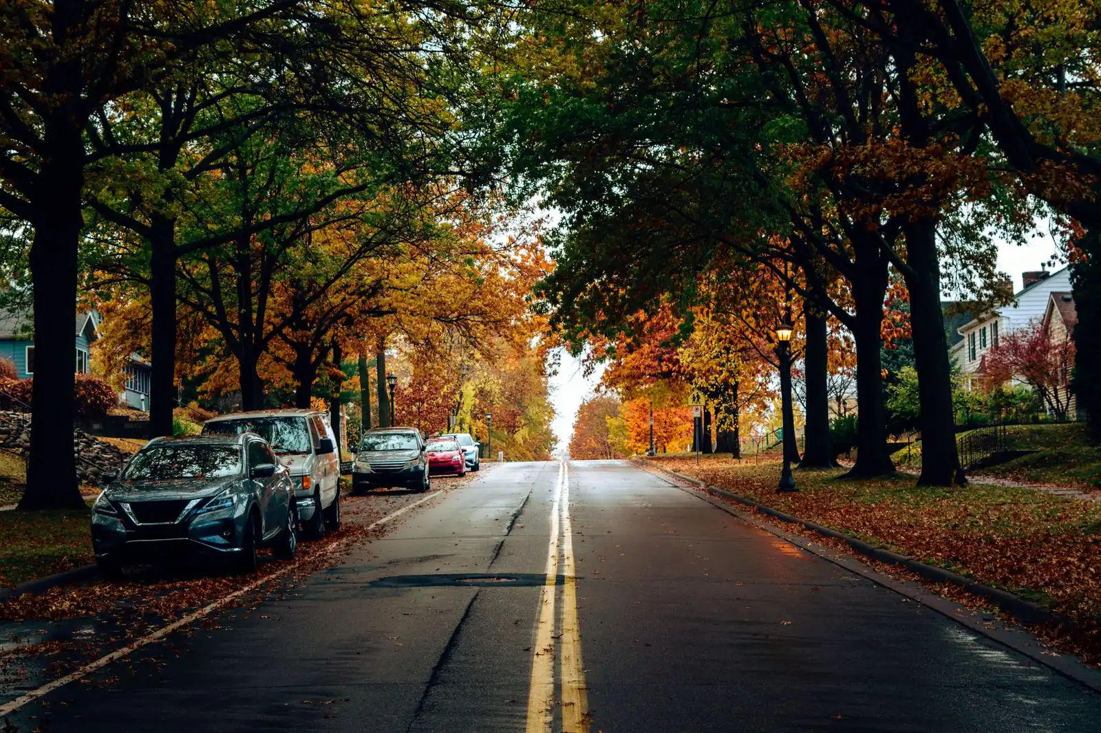 Online psychologist in Bromley — a calm, everyday scene