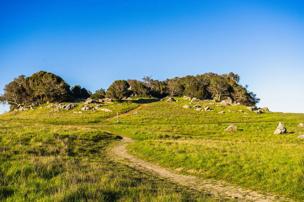 Acceptance and commitment therapy (ACT) — a calm, everyday scene